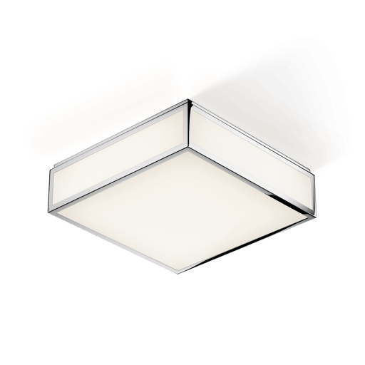 Ceiling Light
