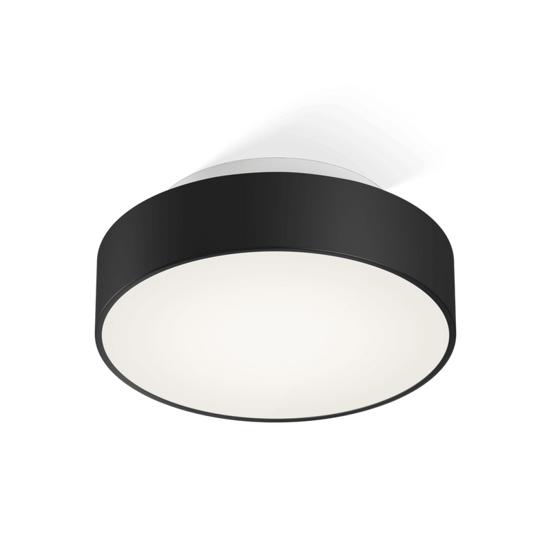 Ceiling Light