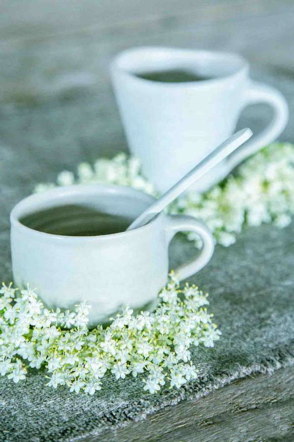 Cylindrical Tea Cup