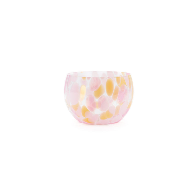 Tapas Apricot