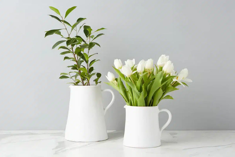 Water Jug Small