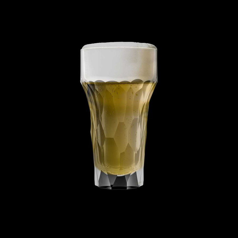 SILEX Set of 4 Beer Mugs 42cl Glass