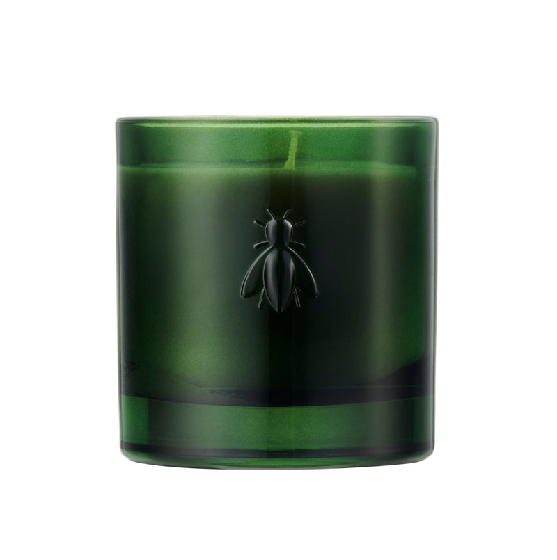 Candle Soaring to the Mediterranean ABEILLE