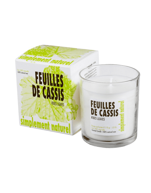 ribes leaves scented candle ambiances des alpes