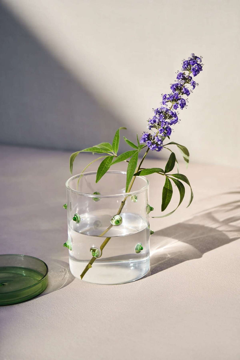 Agave Container