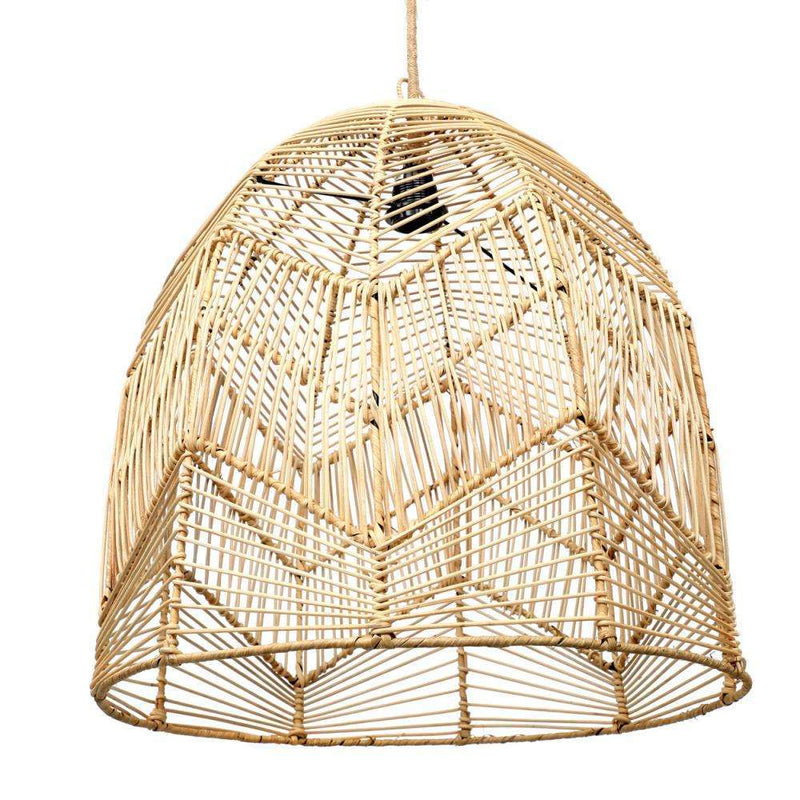 Image lamp pendant light
