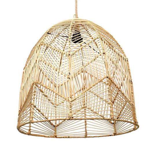 Image lamp pendant light