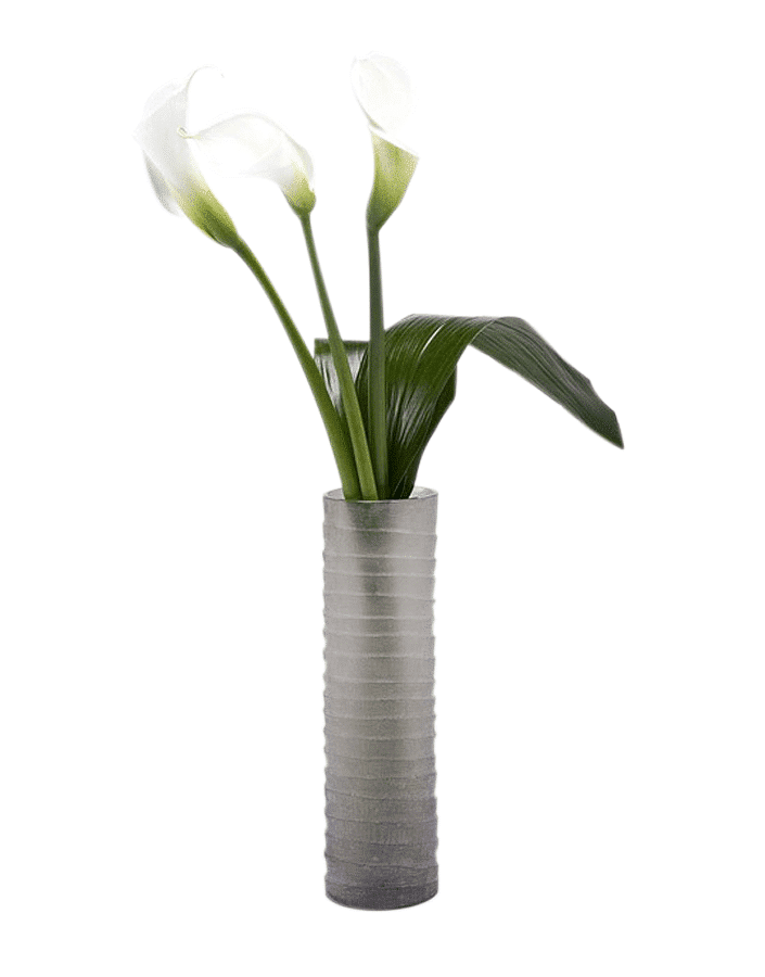 Cylindric M