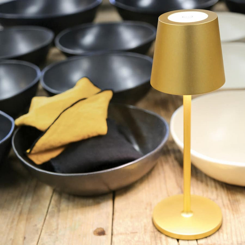 Golden Iron Touch Table Lamp with USB