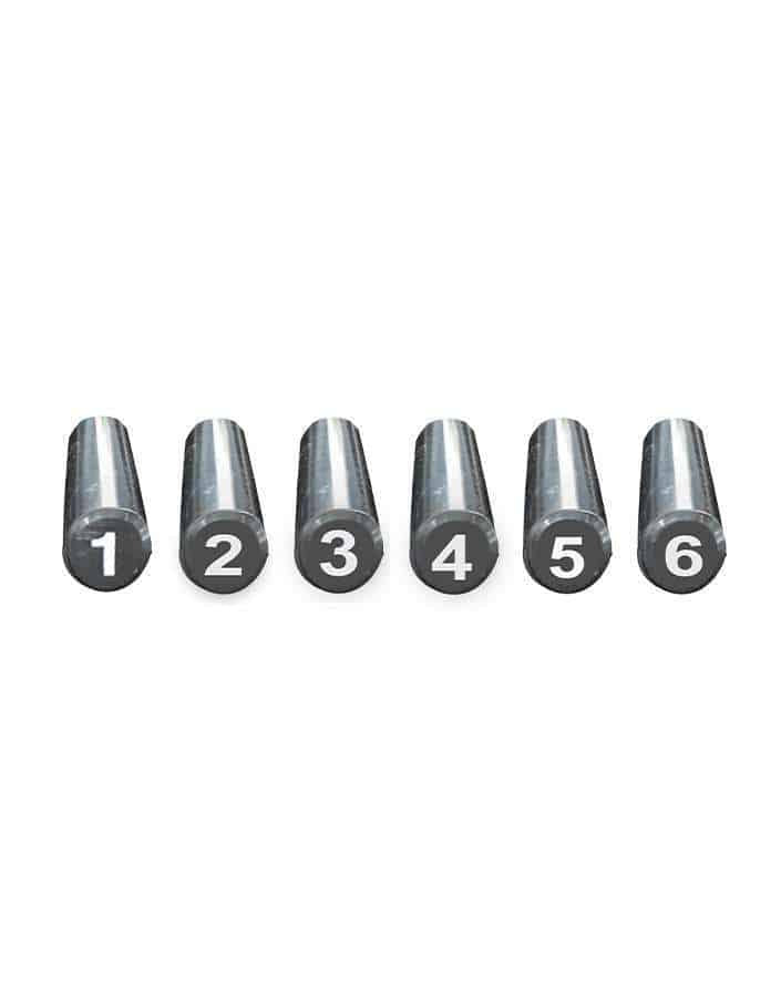 Fondue Bourguignonne / Chinese fork black