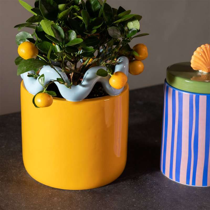 Orange Sway Planter