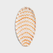 large shell plate