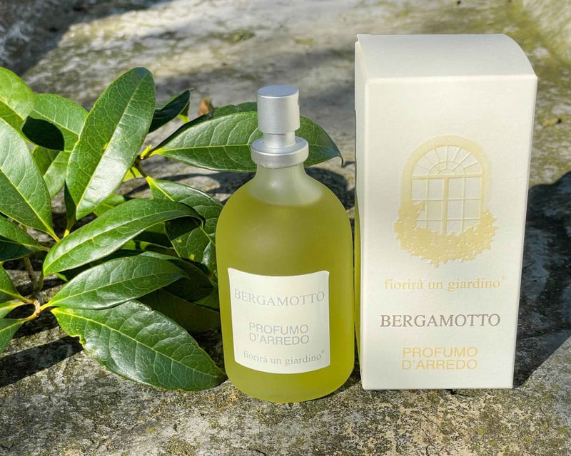 Room Fragrance Bergamot