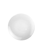 Glass Plate