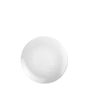 Glass Plate