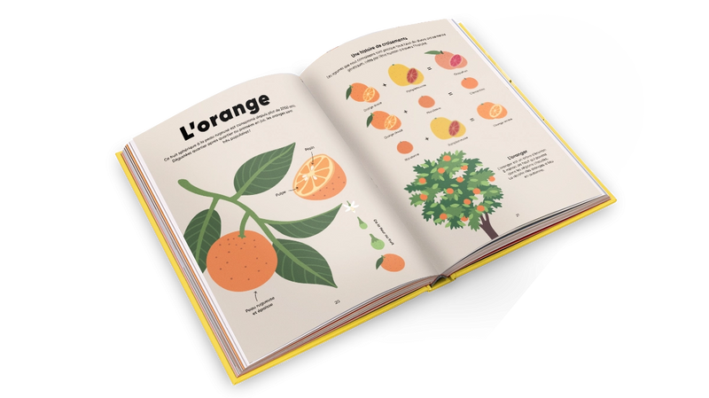 Our Big Table - French Edition