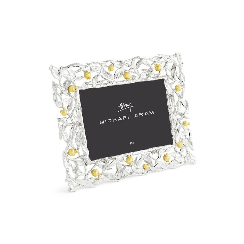 Pomegranate Silver & Gold 5x7 Frame