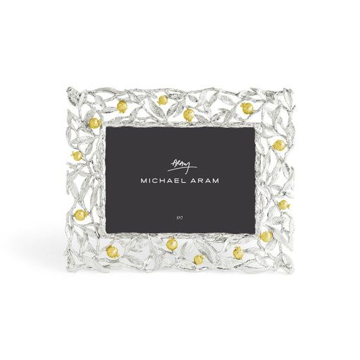 Pomegranate Silver & Gold 5x7 Frame