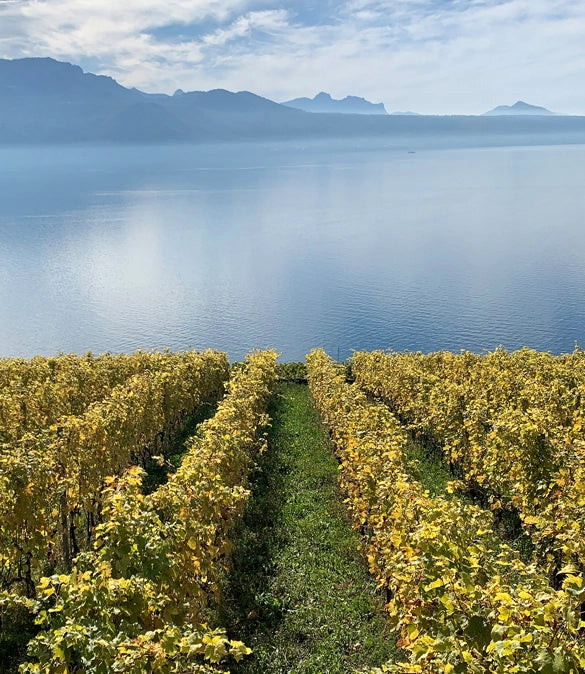 Randonnée œnologique en Suisse - Édition allemande