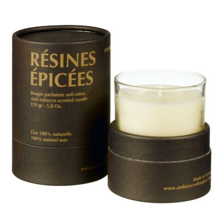 résines épicées scented candle ambiances des alpes