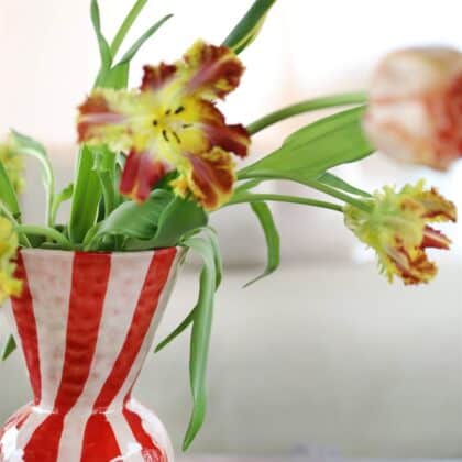 red and white Rhombic vase