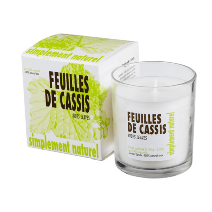 ribes leaves scented candle ambiances des alpes